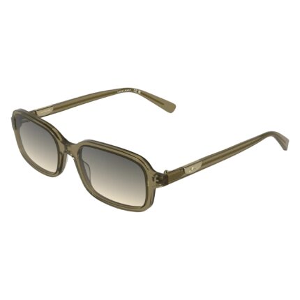 LO818S-319-53